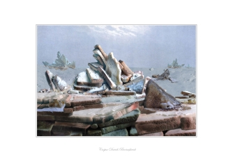 Caspar Davids Brotaufstrich 2010