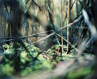 Wunderland 1/09