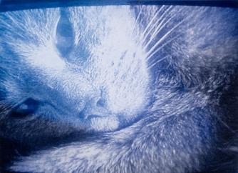 Chatz I/06