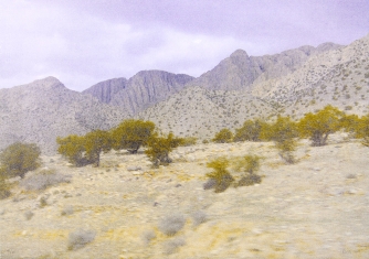 Landschaften 1/2013