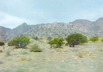Landschaften 3/2013