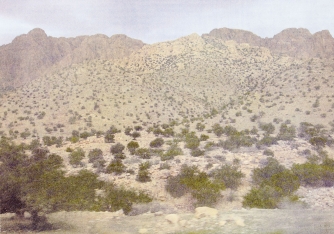 Landschaften 6/2013