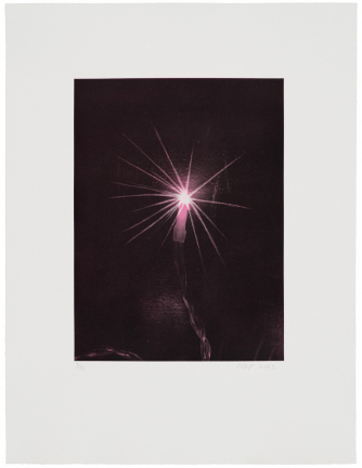 Circling Birdies (Magenta), 2025