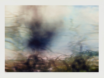 "Liquid Landscape" 16/2013