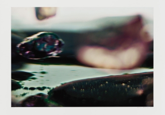 "Liquid Landscape" 2/2016