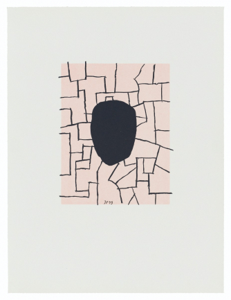 Ueber den Irrtum II/1999