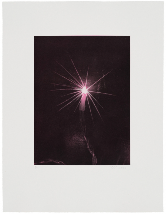 Circling Birdies (Magenta), 2025