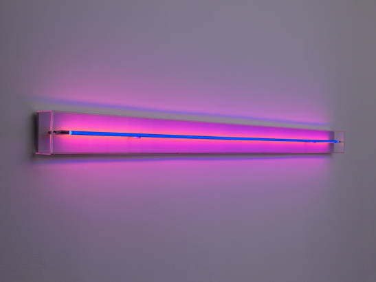 Cobalt/Coralrose, 2026