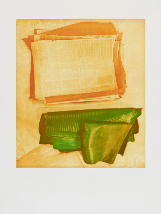 News from the Banana Leaves (i), 2026