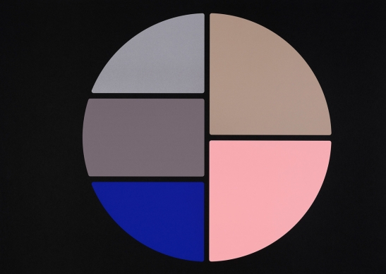 Palette of Shadows (#6), 2025