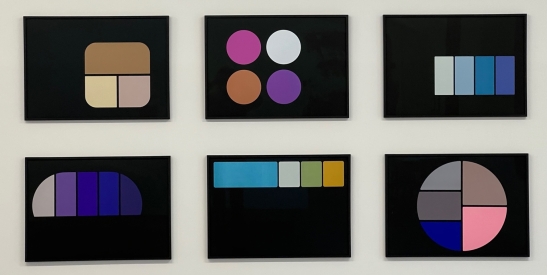 Palette of Shadows (#1-6), 2025