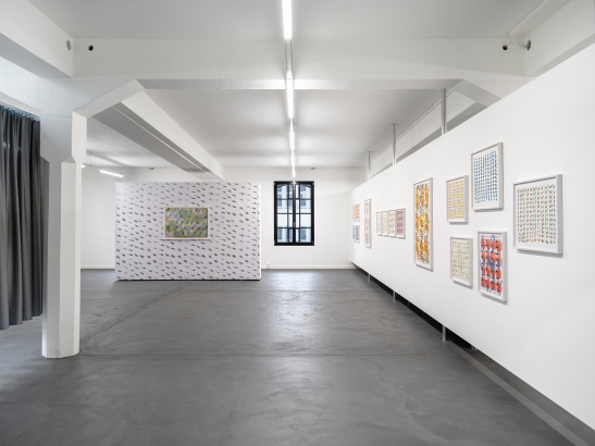 Cédric Eisenring & Sonia Kacem «Shifting Surface»