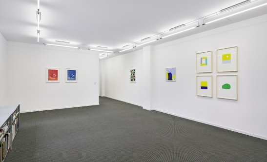 Video: "When color becomes form"